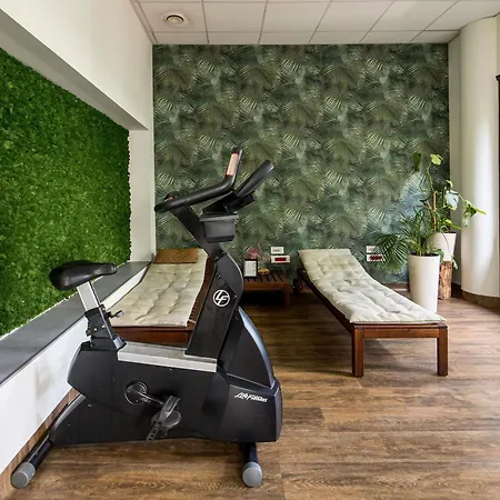 Отель Ibis Centrum