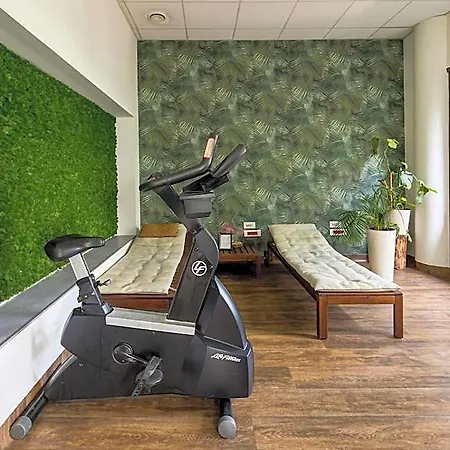 Ibis Centrum