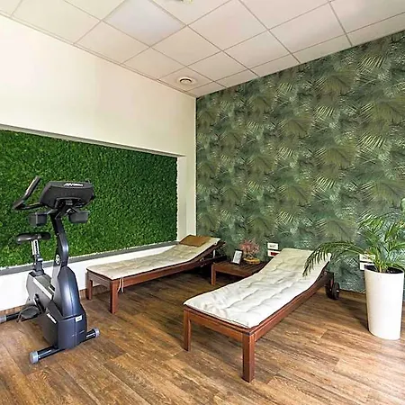Ibis Centrum 3*